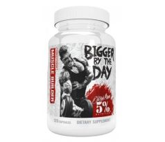 Rich Piana 5% Nutrition Bigger By The Day 120caps